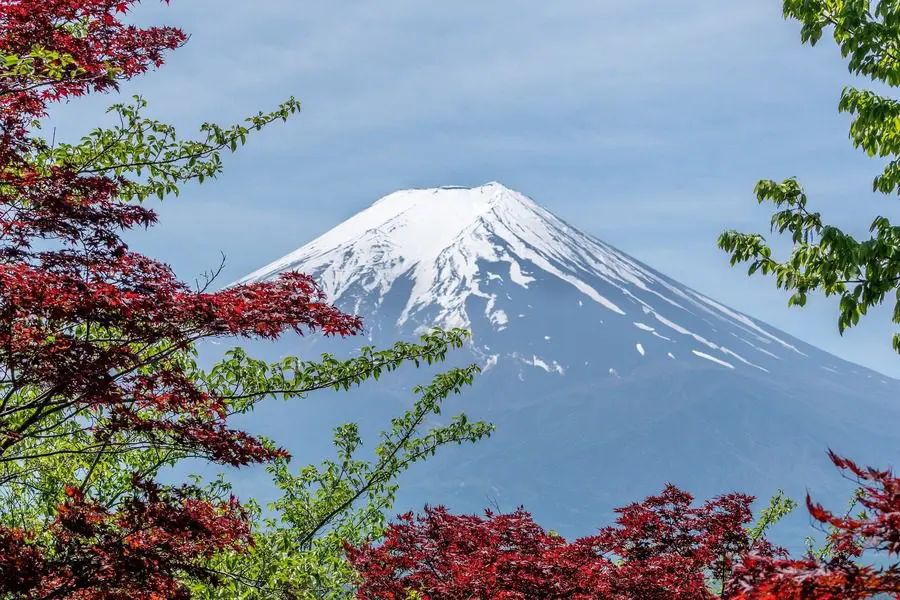 A mountain with snow on top and red leaves in the foreground.