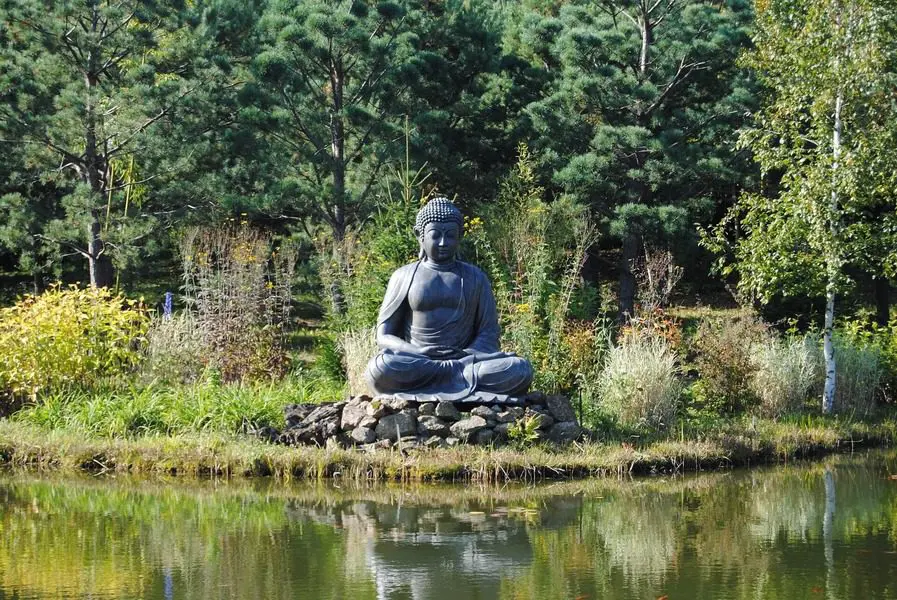 A statue of buddha sitting in the middle of a pond.