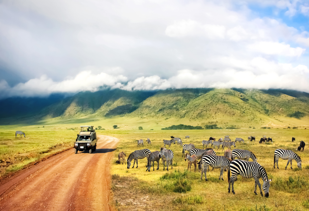 Luxury Outdoor Adventure Vacations: From African Safaris to High-End Fishing Expeditions