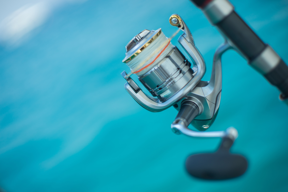 Costa Rica vs. Panama vs. Belize: Which Fishing Destination Is Right for You?