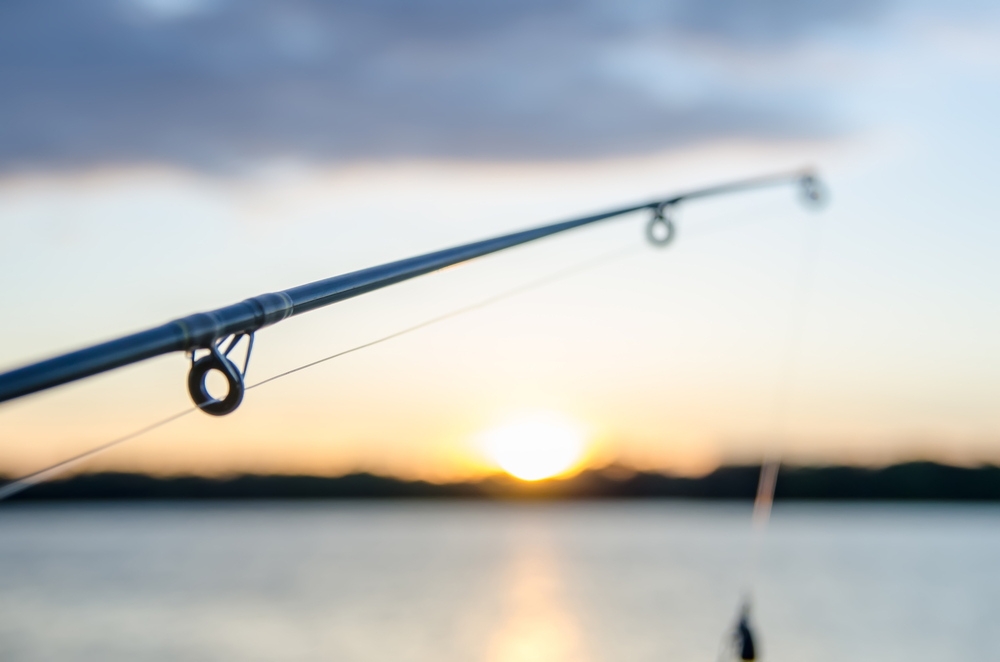 Reel in Adventure: The Most Popular Fishing Options in Our Network in Boise, Idaho